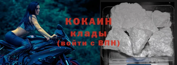 соль ск Алексин