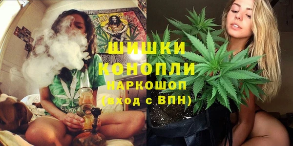 соль ск Алексин