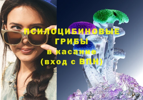 соль ск Алексин