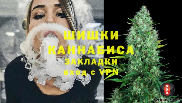 spice Арсеньев