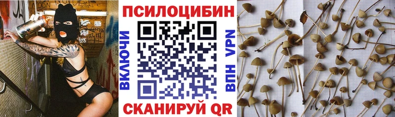 Псилоцибиновые грибы прущие грибы Печоры